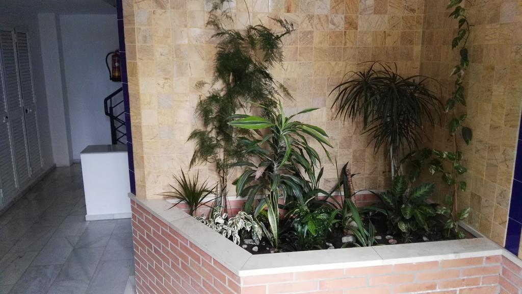 Апартаменти Fan Flat Eugenio (Adults Only) Малага Екстер'єр фото
